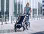 Thule Chariot Lite 1 Agave 2022