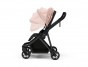 Thule Shine Misty Rose on Black 2022