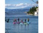 paddleboard iBOARD 11' - 1 PURPLE PALM