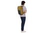 Thule Paramount Commuter batoh 20 l TPBBP320 - nutria