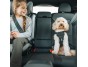 Thule Cappy - postroj do auta pre psa vel.S