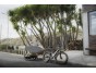 Thule Reacha Sport - vozík za bicykel na športové vybavenie