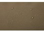 Thule Chasm športová taška 90 l TDSD304 - Deep Khaki