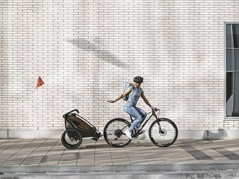 Náhľad produktu - Thule Chariot Lite DOUBLE Vintage Green